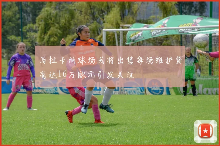 马拉卡纳球场或将出售每场维护费高达16万欧元引发关注