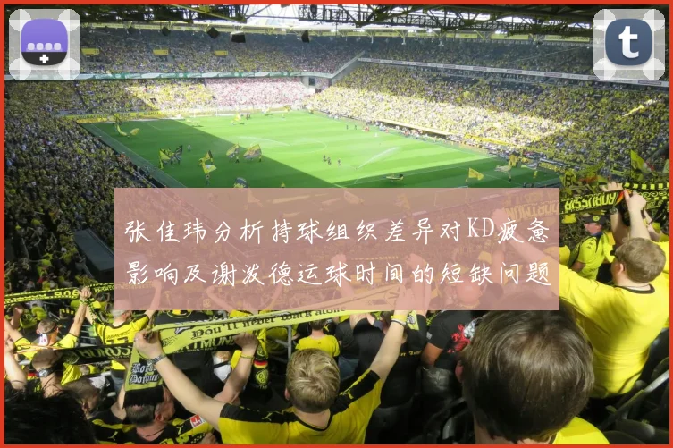 张佳玮分析持球组织差异对KD疲惫影响及谢泼德运球时间的短缺问题