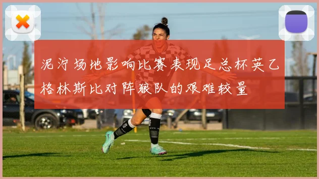 泥泞场地影响比赛表现足总杯英乙格林斯比对阵狼队的艰难较量